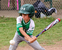 SYA little coach pitch Mann
